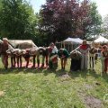 IMG_1019715