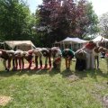 IMG_1019716