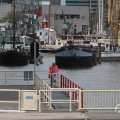 IMG_1019906