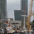 IMG_1019907