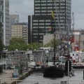 IMG_1019911