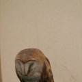 IMG_1020235