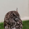 IMG_1020236