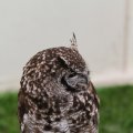 IMG_1020238