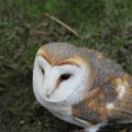 IMG_1020240
