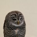 IMG_1020245