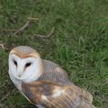 IMG_1020253