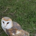 IMG_1020256