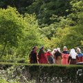 IMG_1020320