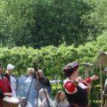 IMG_1020378