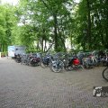 IMG_1020474