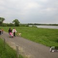 IMG_1020950