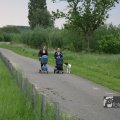 IMG_1020973