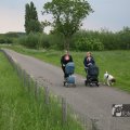 IMG_1020974