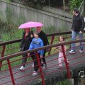 IMG_1021182