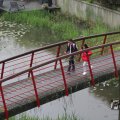 IMG_1021195