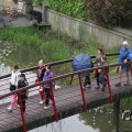 IMG_1021286