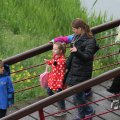 IMG_1021318