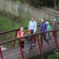 IMG_1021384