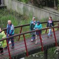 IMG_1021411