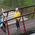 IMG_1021445