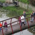 IMG_1021452