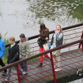 IMG_1021481