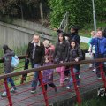 IMG_1021487