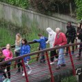 IMG_1021549