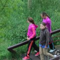 IMG_1021590