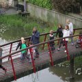 IMG_1021609