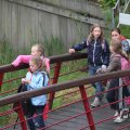 IMG_1021638