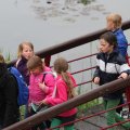 IMG_1021655