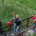 IMG_1021734