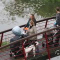 IMG_1021769