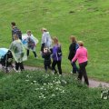 IMG_1021784