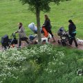 IMG_1021785