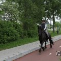 IMG_1022346