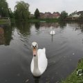 IMG_1022789