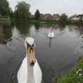 IMG_1022790