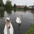 IMG_1022791