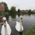 IMG_1022792