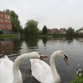IMG_1022793