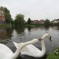 IMG_1022794