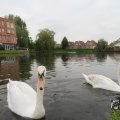 IMG_1022795