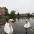 IMG_1022797