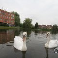 IMG_1022798