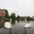 IMG_1022799