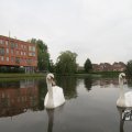 IMG_1022800