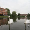 IMG_1022801